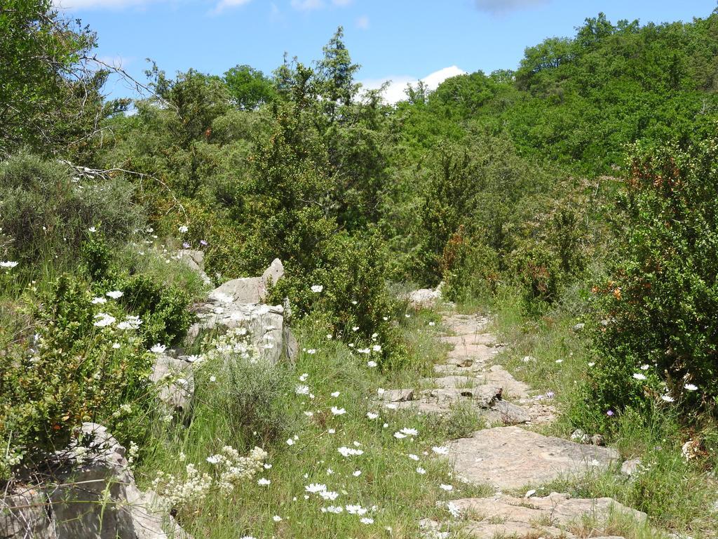 La Nichoule Villa Rosières Buitenkant foto