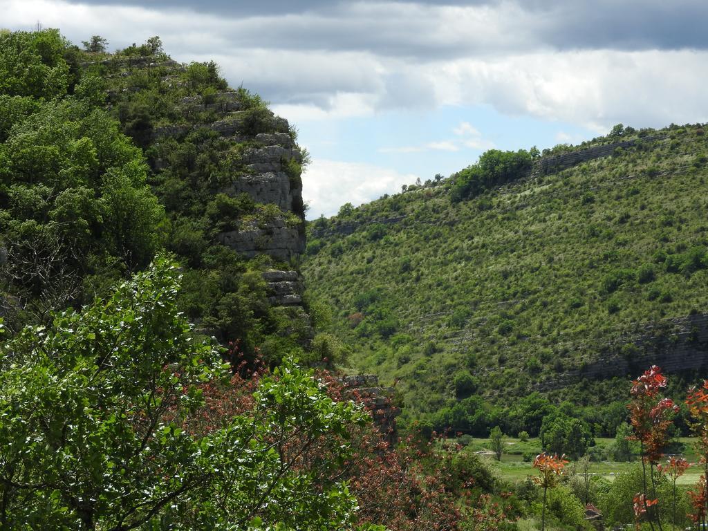 La Nichoule Villa Rosières Buitenkant foto